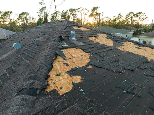 Best Roof Maintenance  in Flanders, NJ
